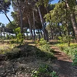 La Terrazza Di Elisabetta Apartment *