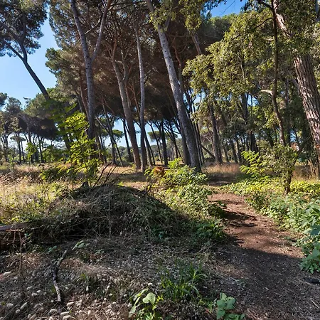 La Terrazza Di Elisabetta Daire Viareggio