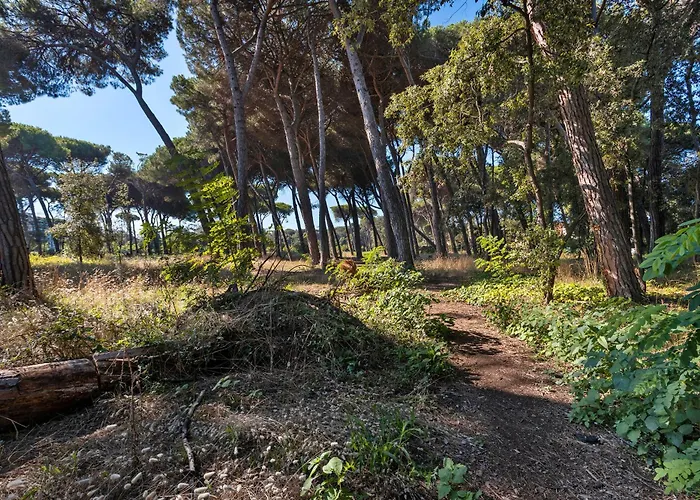 La Terrazza Di Elisabetta Appartement Viareggio